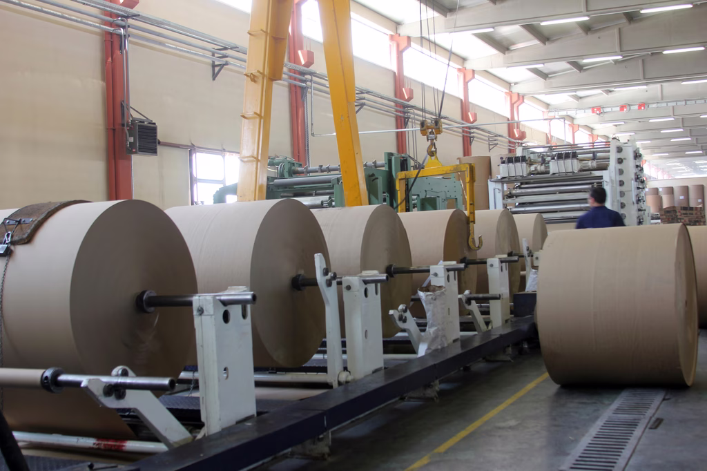 Pulp & Paper sector.